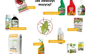 Oprysk na mszyce kiedy stosować? Na zdjęciu różne środki: Mospilan, spraye, naturalne produkty, ziemia okrzemkowa, mydło potasowe, NeemAzal, taśmy lepowe.