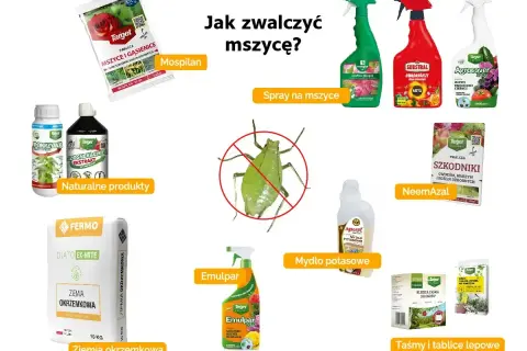 Oprysk na mszyce kiedy stosować? Na zdjęciu różne środki: Mospilan, spraye, naturalne produkty, ziemia okrzemkowa, mydło potasowe, NeemAzal, taśmy lepowe.