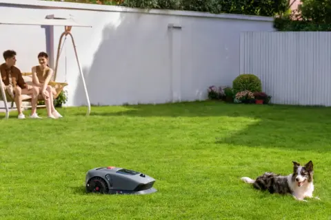 Para, jak działa robot koszący, odpoczywa na trawie, podczas gdy para siedzi na huśtawce. Pies leży obok.