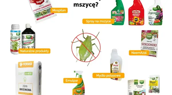 Oprysk na mszyce kiedy stosować? Na zdjęciu różne środki: Mospilan, spraye, naturalne produkty, ziemia okrzemkowa, mydło potasowe, NeemAzal, taśmy lepowe.