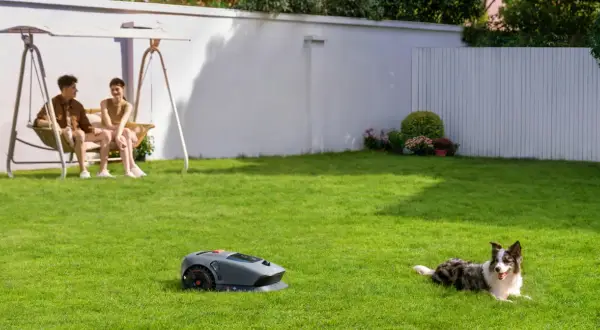 Para, jak działa robot koszący, odpoczywa na trawie, podczas gdy para siedzi na huśtawce. Pies leży obok.