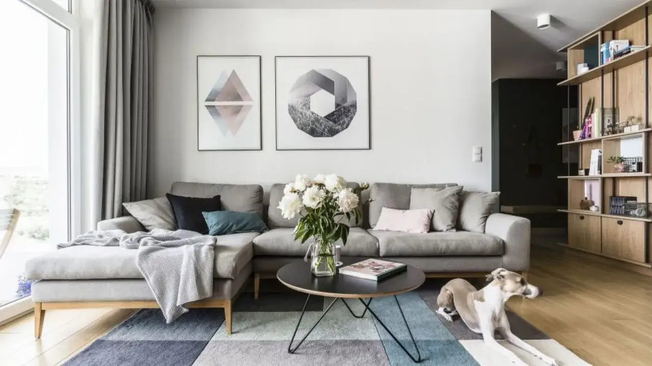 Nowoczesny salon z szarą kanapą, geometrycznym dywanem i psem. Inspiracja, jak dobrać dywan do salonu, by stworzyć przytulną przestrzeń.