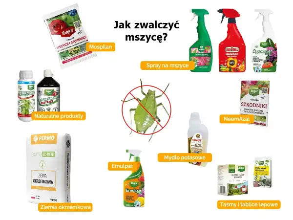Oprysk na mszyce kiedy stosować? Na zdjęciu różne środki: Mospilan, spraye, naturalne produkty, ziemia okrzemkowa, mydło potasowe, NeemAzal, taśmy lepowe.
