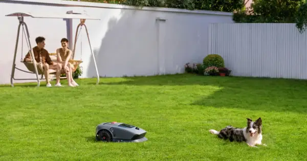 Para, jak działa robot koszący, odpoczywa na trawie, podczas gdy para siedzi na huśtawce. Pies leży obok.